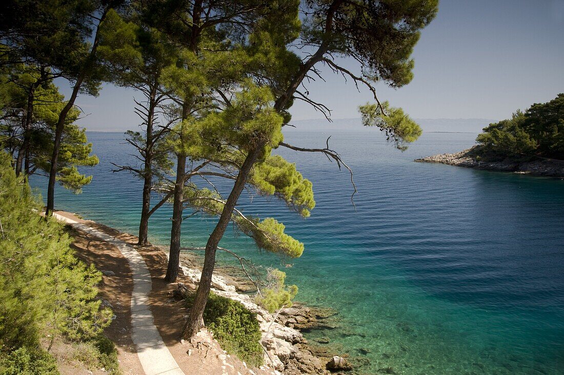 A small bay surrounded by pine trees near Veli Losinj on the island of Losinj, Kvarner region, Croatia, Europe