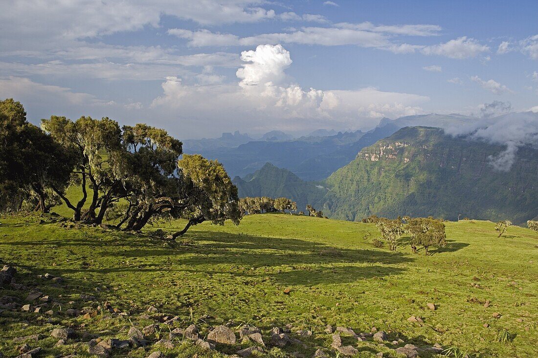 View looking towards the Nortern Escarpment near Sankaber, UNESCO World Heritage Site, Simien Mountains National Park, Ethiopia, Africa