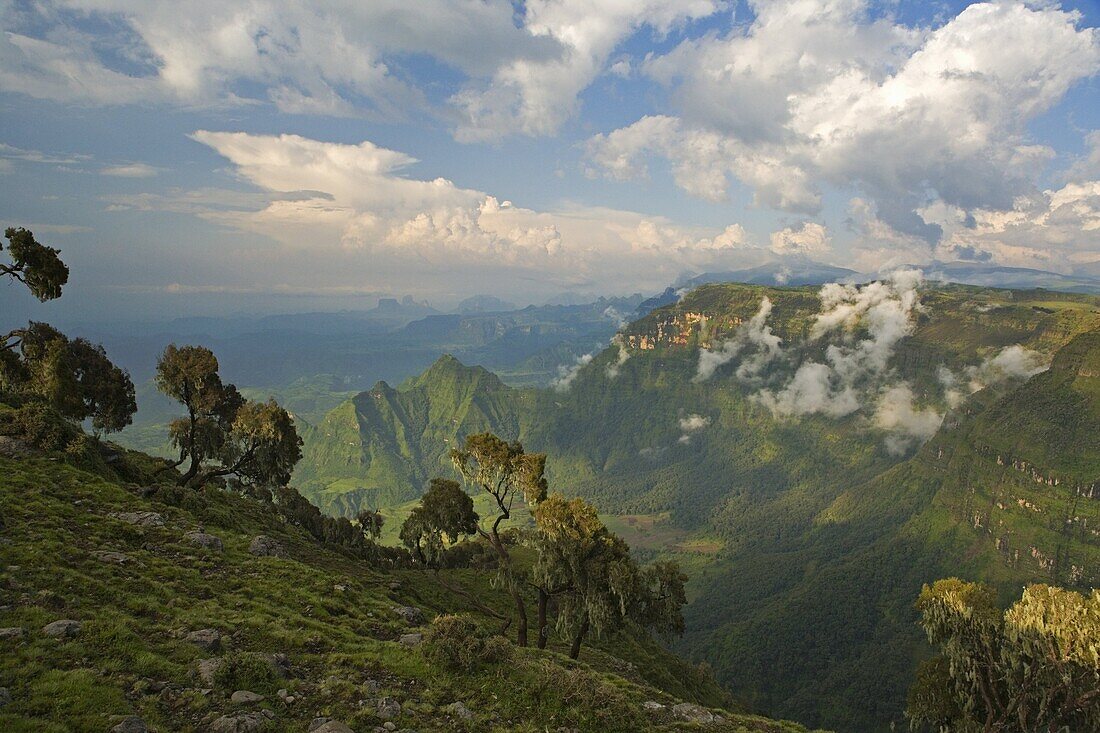 View looking towards the Nortern Escarpment near Sankaber, UNESCO World Heritage Site, Simien Mountains National Park, Ethiopia, Africa