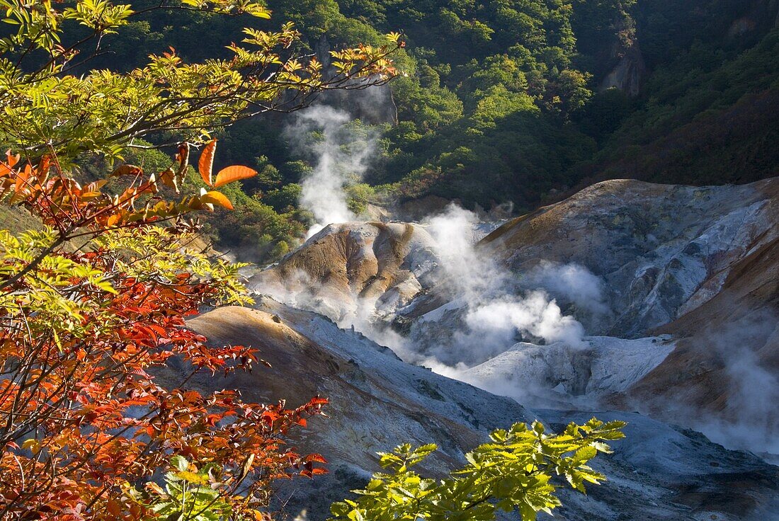 Steam fumaroles in Jigokudani geothermal area, Noboribetsu Onsen, Shikotsu-Toya National Park, Hokkaido, Japan