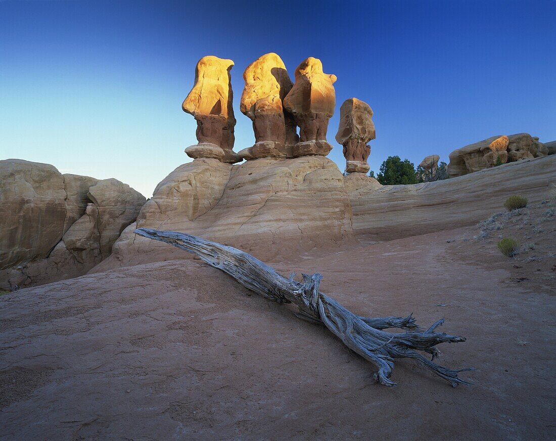 Sculptured rock formations, Devil's Garden, Grand Staircase Escalante, Utah, United States of America, North America