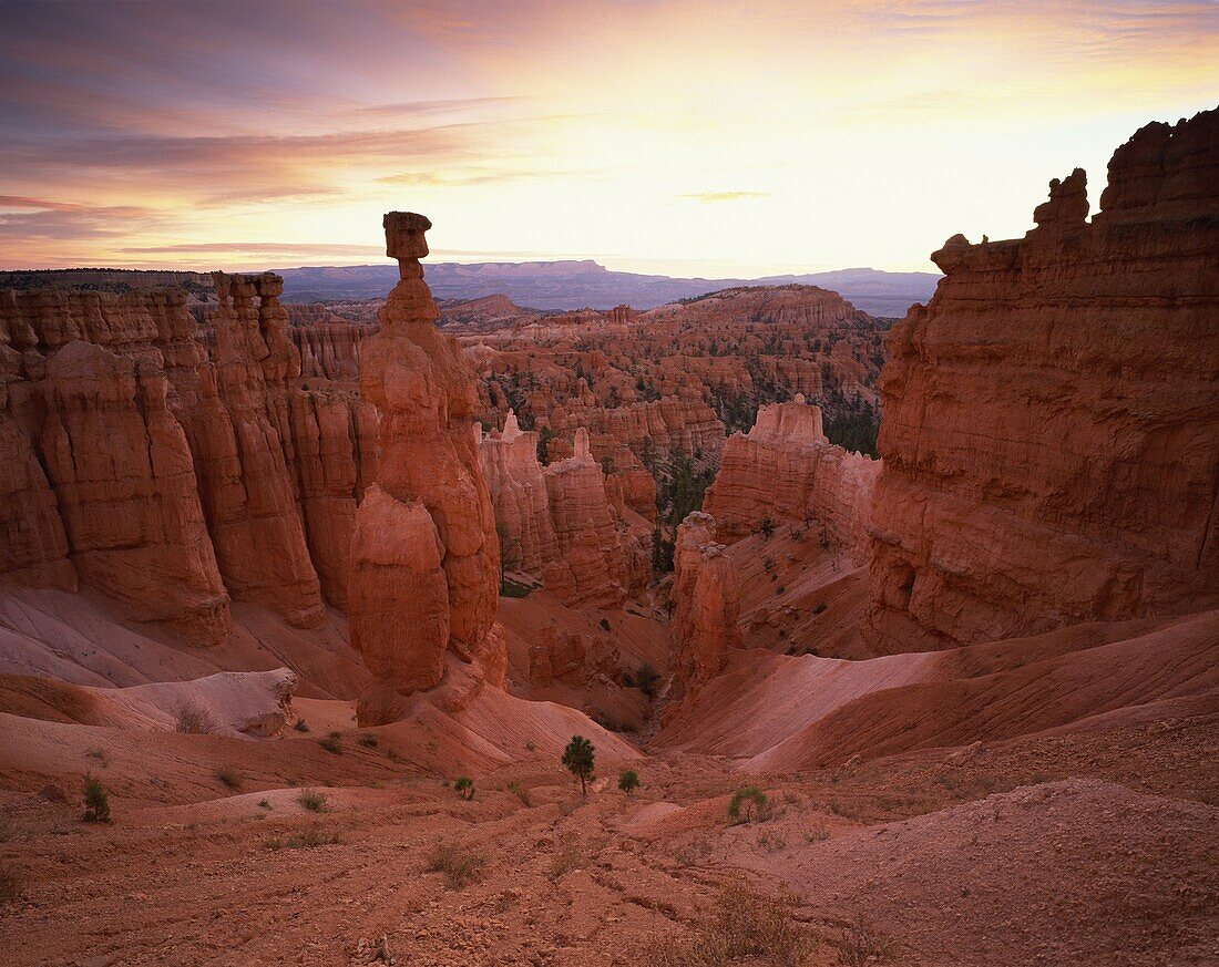 Backlit hoodoos and Thor's Hammer, Bryce Canyon National Park, Utah, United States of America, North America
