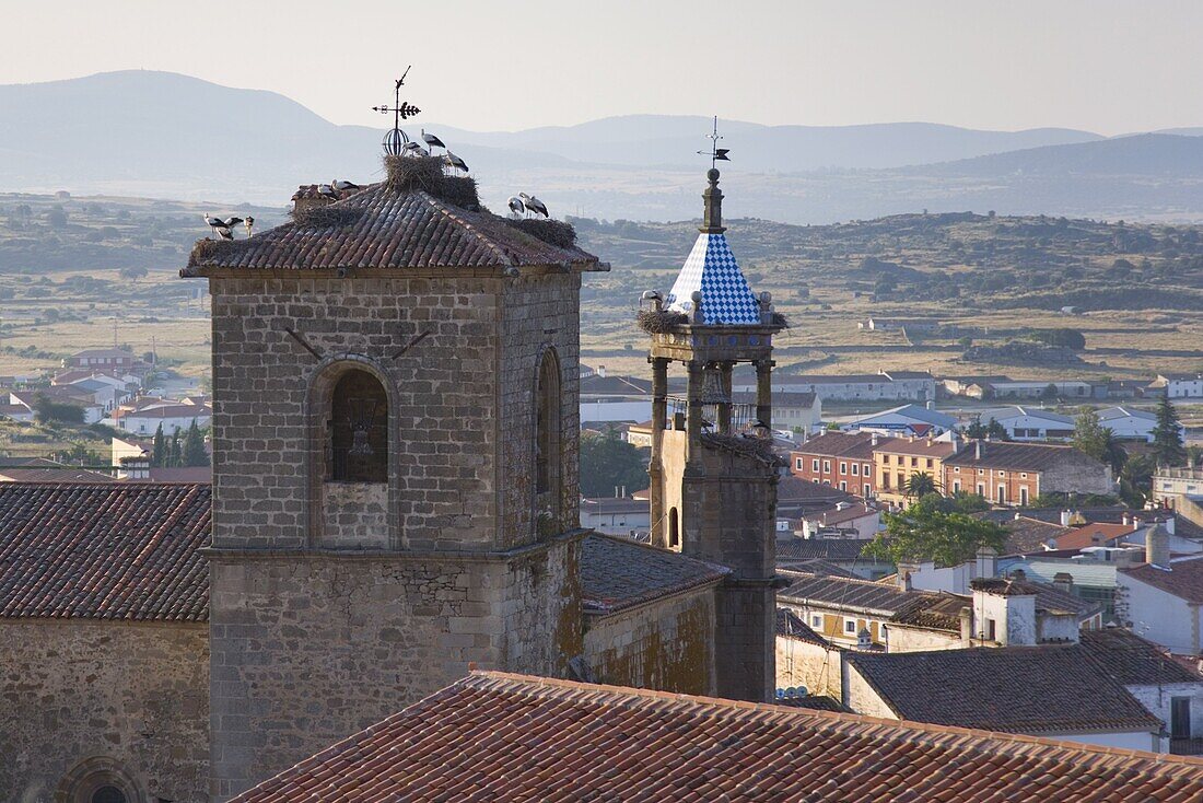 Nesting storks on the Iglesia de San Martin, Trujillo, Caceres, Extremadura, Spain, Europe
