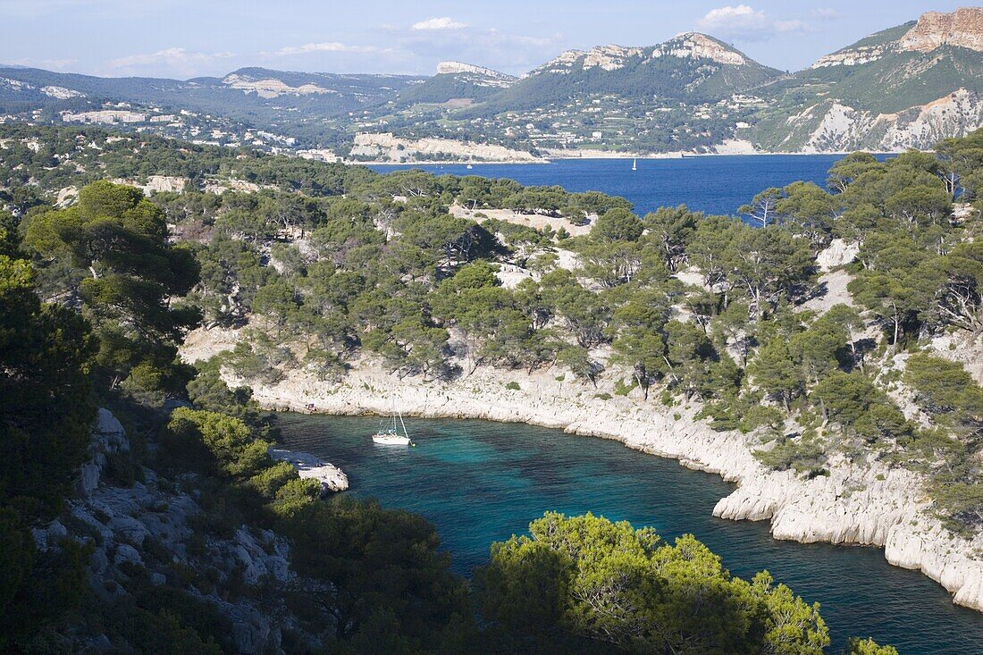 View from hillside to the Calanque de Port-Pin and distant Baie de Cassis, Cassis, Bouches-du-Rhone, Provence, Cote d'Azur, France, Europe