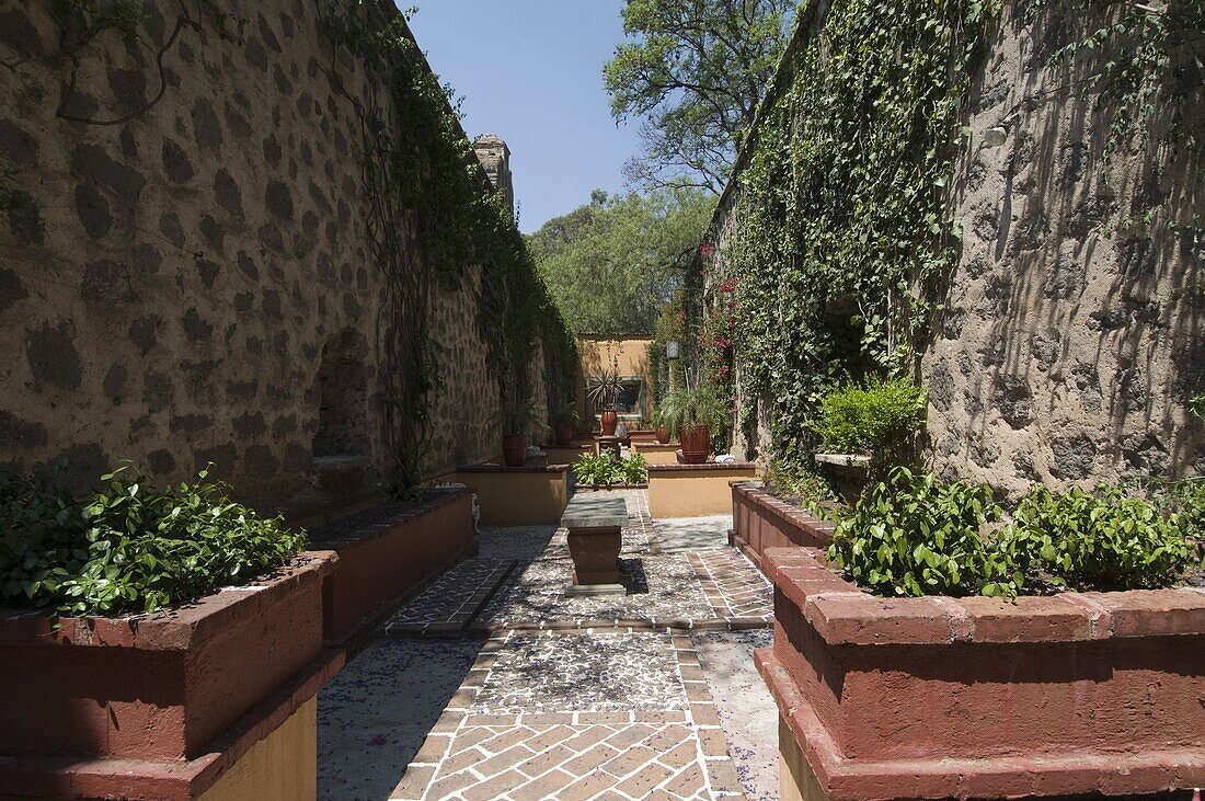 Gardens in Guanajuato, UNESCO World Heritage Site, Guanajuato State, Mexico, North America