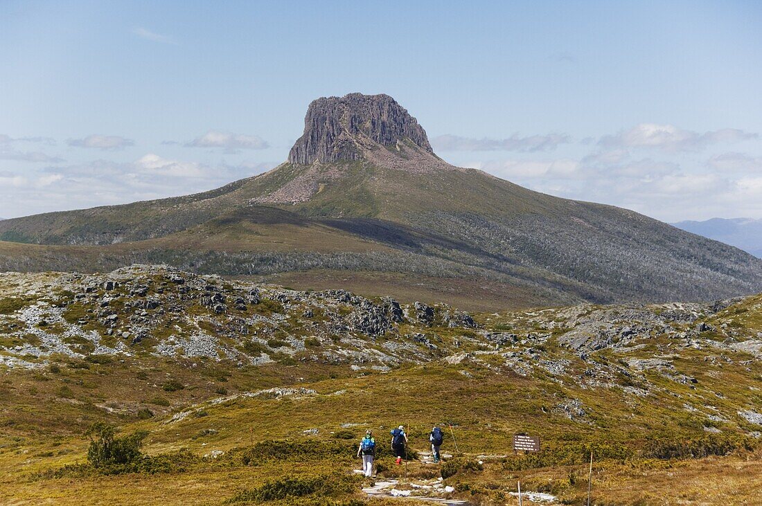 Hikers walking towards Barn Bluff on the overland track in Cradle Mountain Lake St. Clair National Park, part of Tasmanian Wilderness, UNESCO World Heritage Site, Tasmania, Australia, Pacific