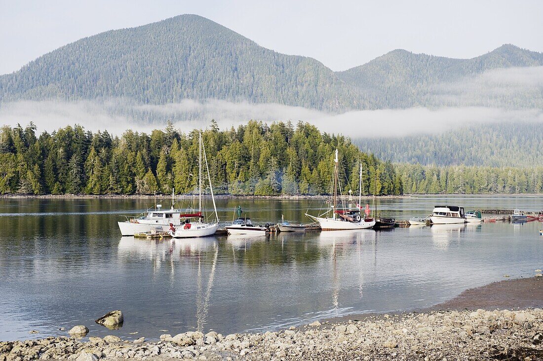 Boats moored at Tofino, Pacific Rim National Park Reserve, Vancouver Island, British Columbia, Canada, North America