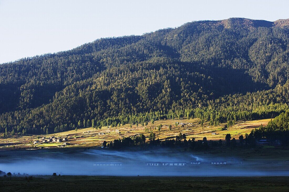 Mist in Phobjikha Valley, Bhutan, Asia