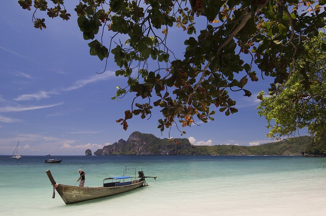 Yong Kasem beach, known as Monkey Beach, Phi Phi Don Island, Thailand, Southeast Asia, Asia
