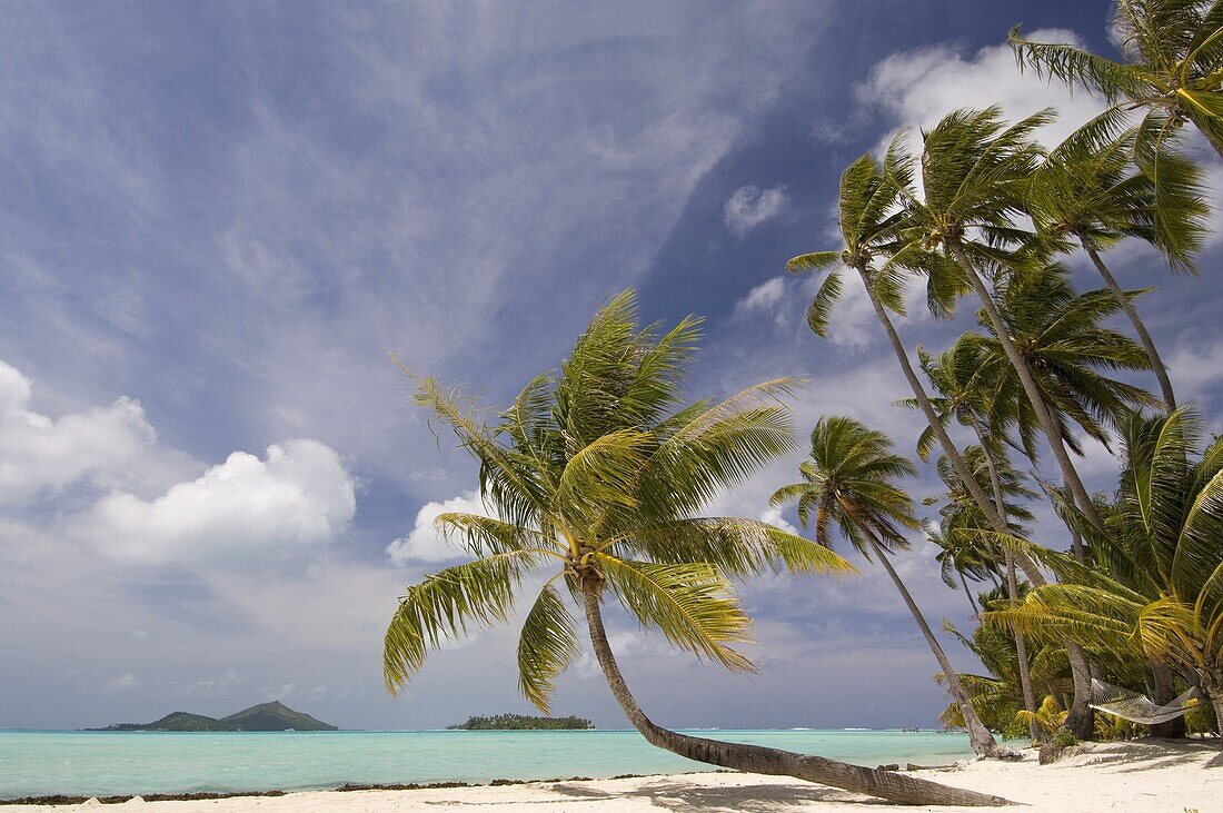 Bora-Bora, Leeward group, Society Islands, French Polynesia, Pacific Islands, Pacific