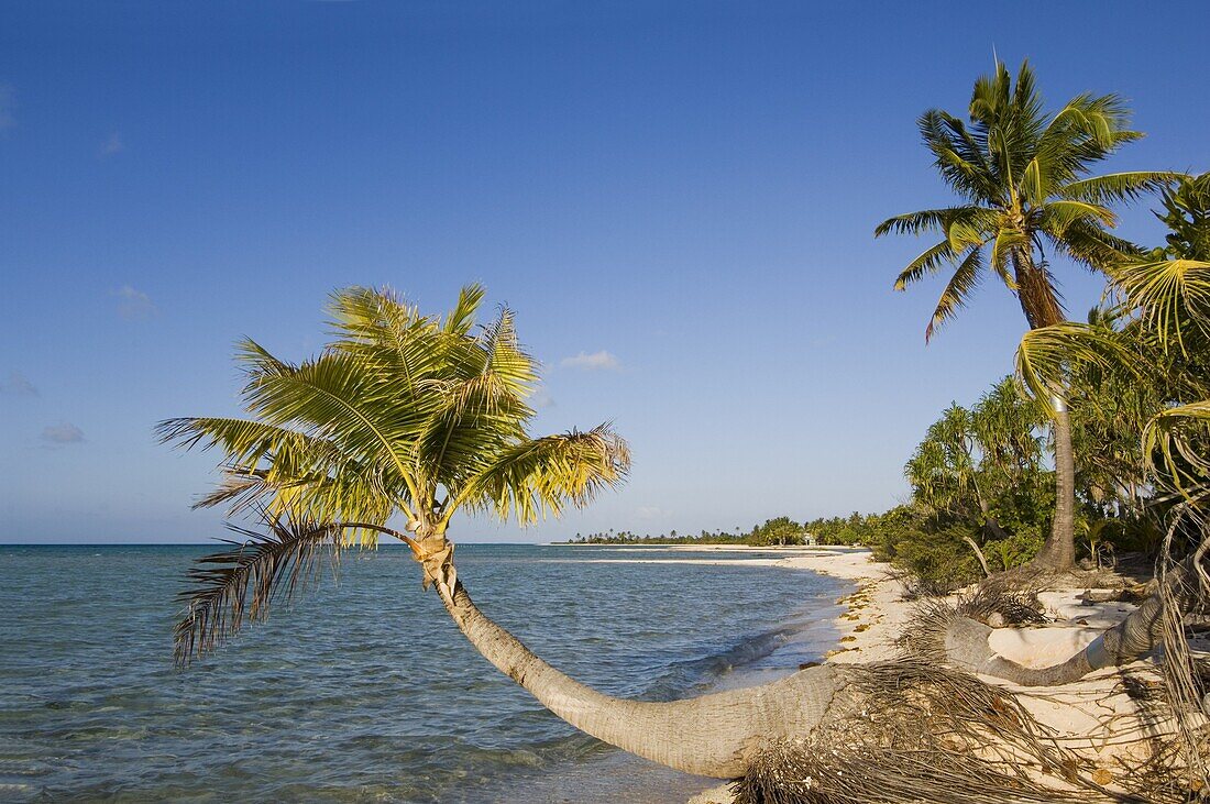 Tikehau, Tuamotu Archipelago, French Polynesia, Pacific Islands, Pacific