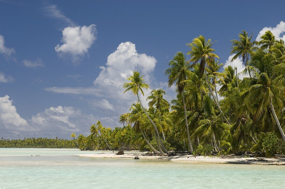 Blue Lagoon, Rangiroa, Tuamotu Archipelago, French Polynesia, Pacific Islands, Pacific