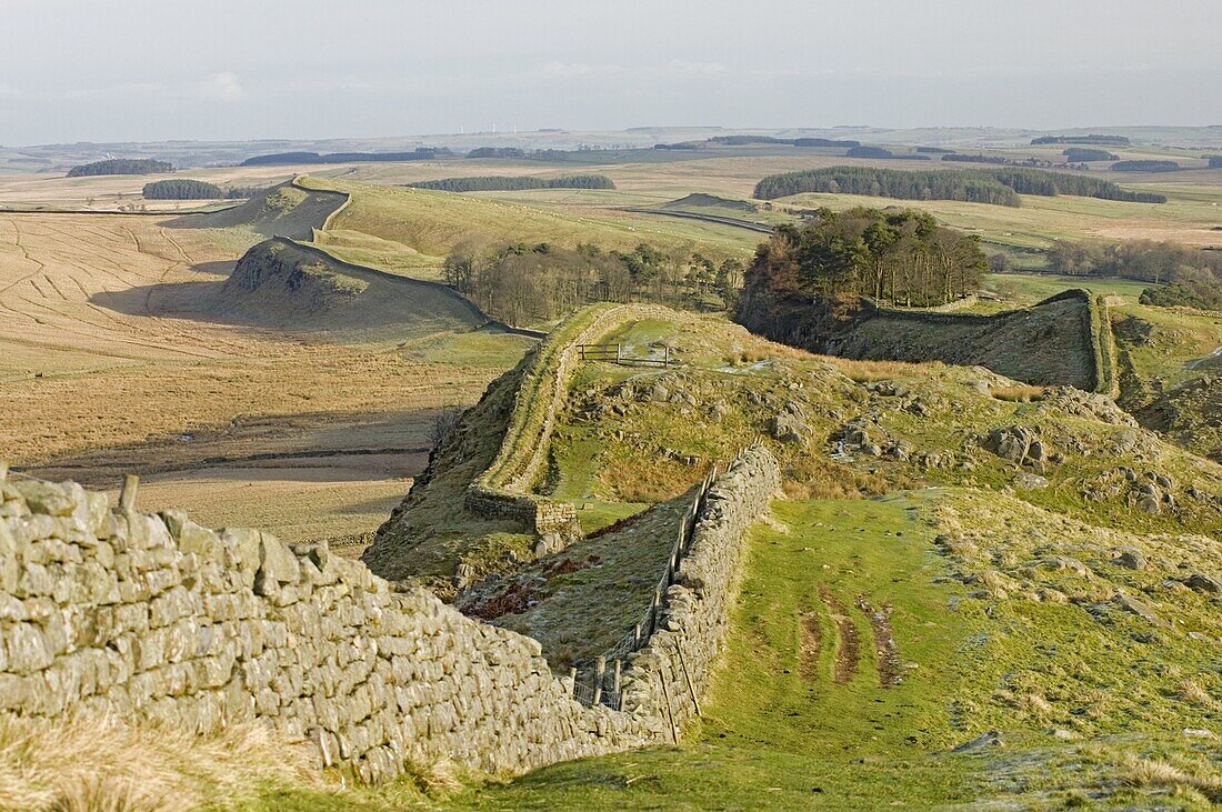 Looking east from Holbank Crags showing course of the Roman wall past Housesteads Wood to Sewingshields Crag, Hadrian's Wall, UNESCO World Heritage Site, Northumbria (Northumberland), England, United Kingdom, Europe