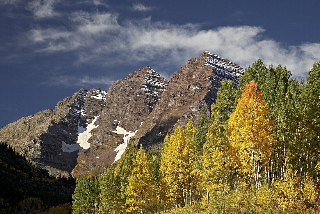 Maroon Bells with fall color, White River National Forest, Colorado, United States of America, North America