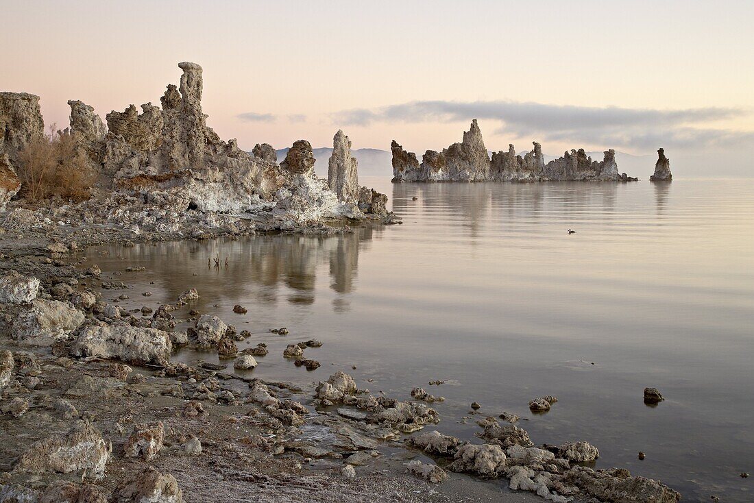 Tufa formations at sunrise, Mono Lake, California, United States of America, North America