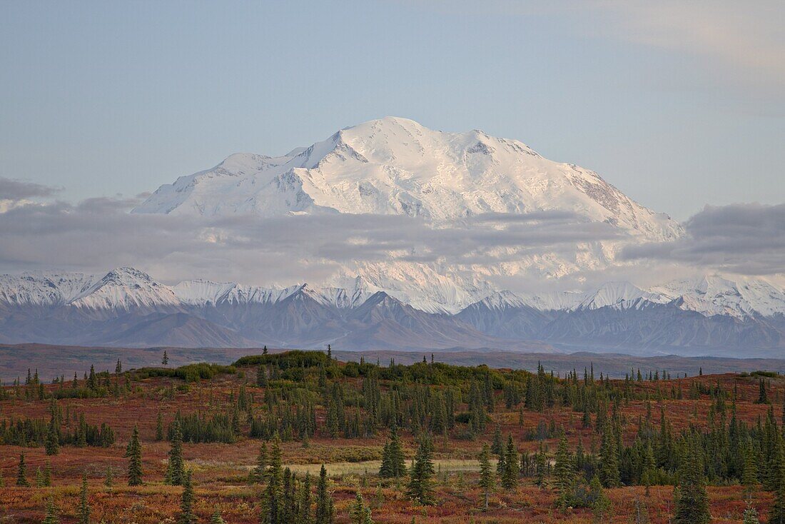 Mount McKinley (Mount Denali) at sunset in the fall, Denali National Park and Preserve, Alaska, United States of America