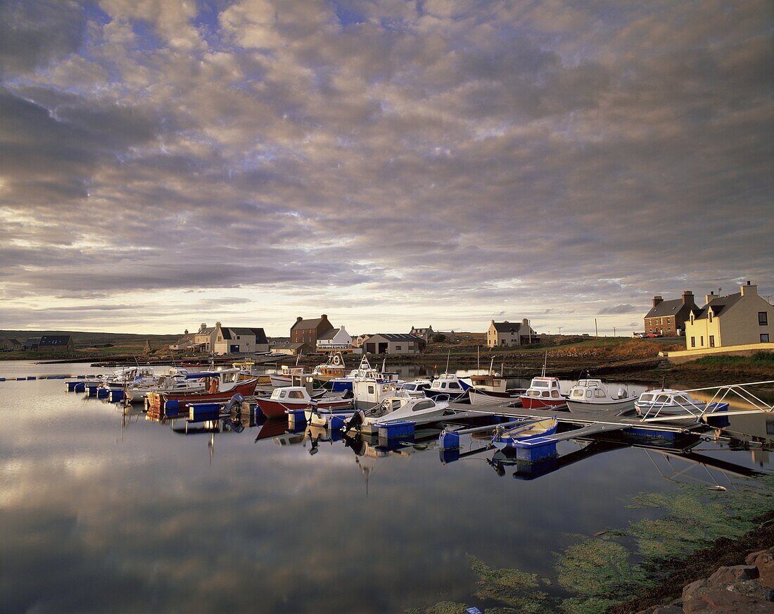 Walls, West Mainland, Shetland Islands, Scotland, United Kingdom, Europe