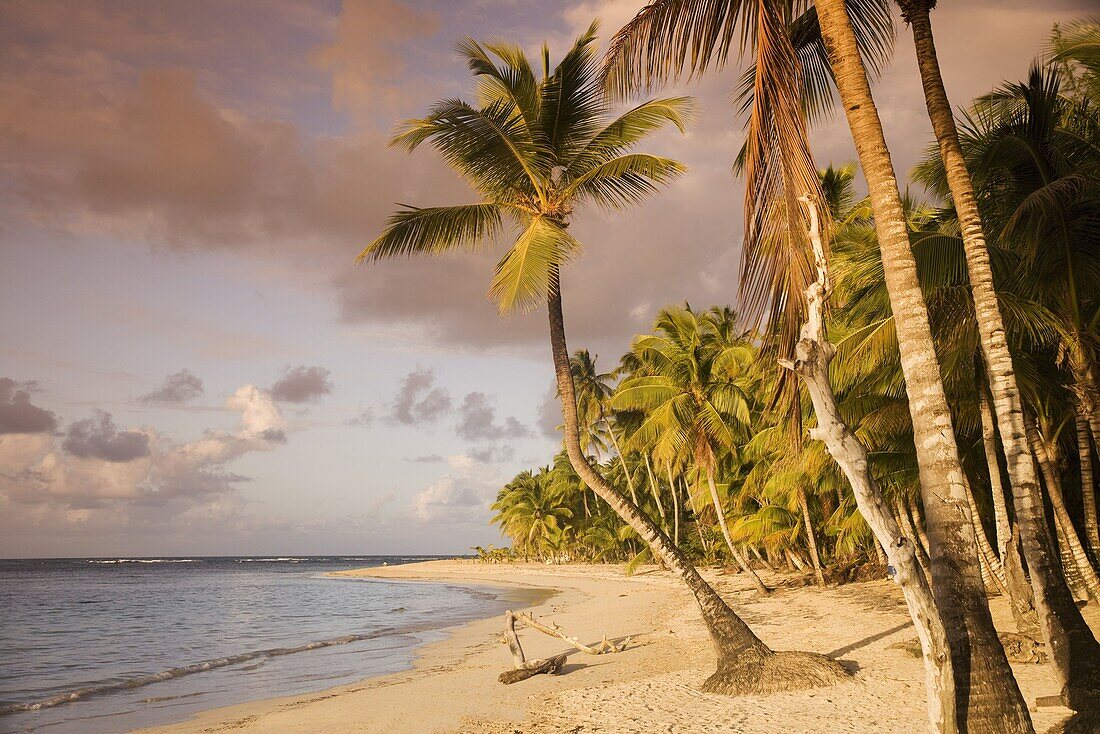 Las Terrenas, Samana Peninsula, Dominican Republic, West Indies, Caribbean, Central America