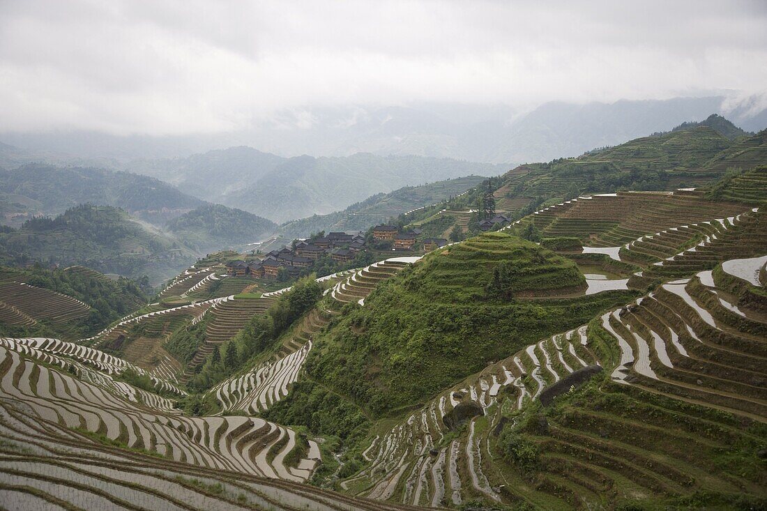 Terraced ricefields of Longshen, Guilin, Guangxi Province, China, Asia