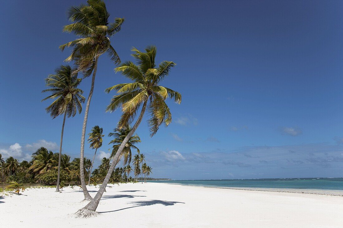 Punta Cana, Dominican Republic, West Indies, Caribbean, Central America