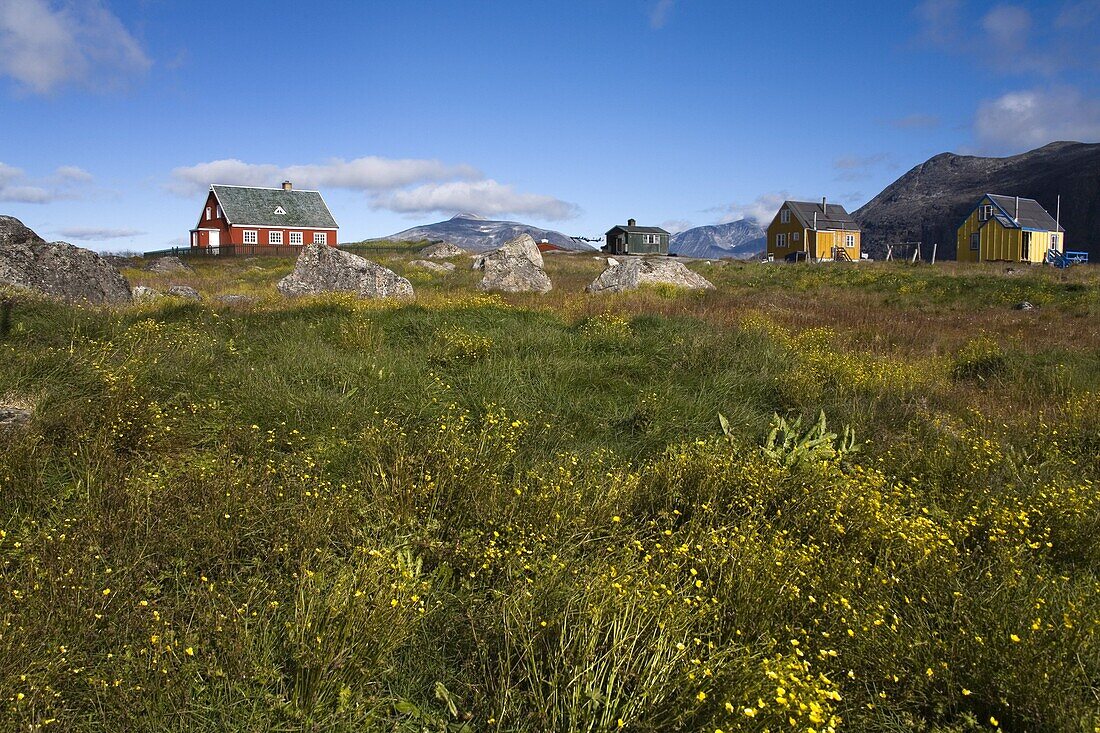 Colourful houses, Port of Nanortalik, Island of Qoornoq, Province of Kitaa, Southern Greenland, Kingdom of Denmark, Polar Regions