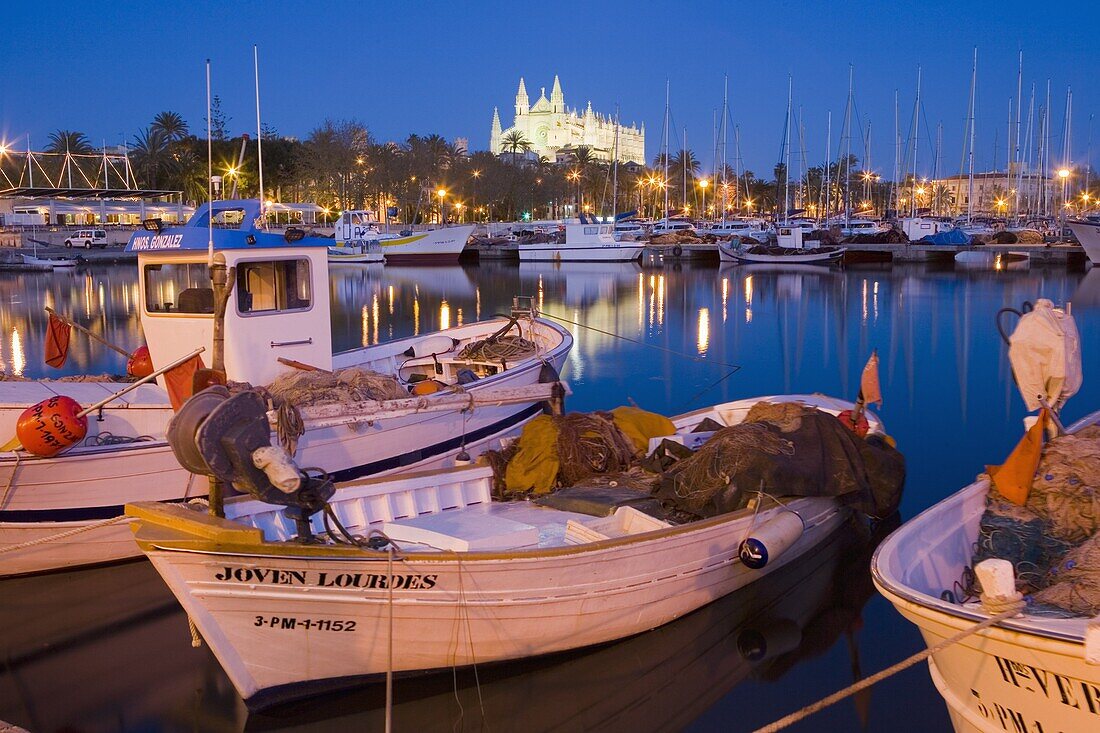 Cathedral and port, Palma, Majorca, Balearic Islands, Spain, Mediterranean, Europe