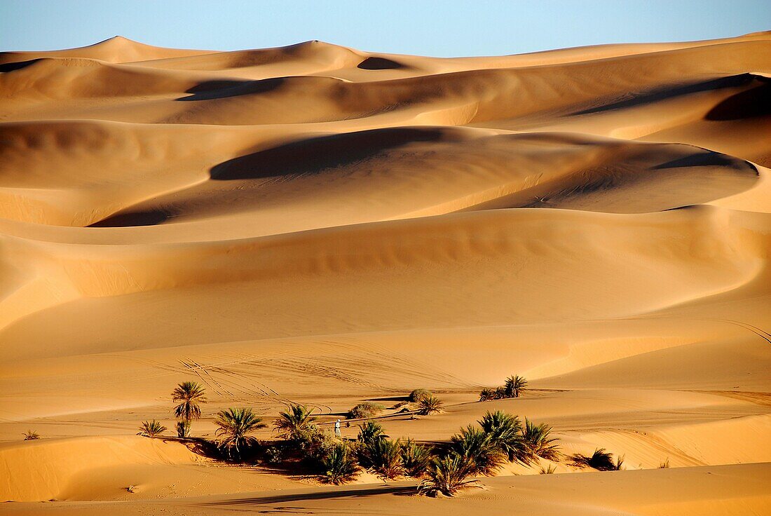 Erg Ubari desert, Ubari, Libya, North Africa, Africa