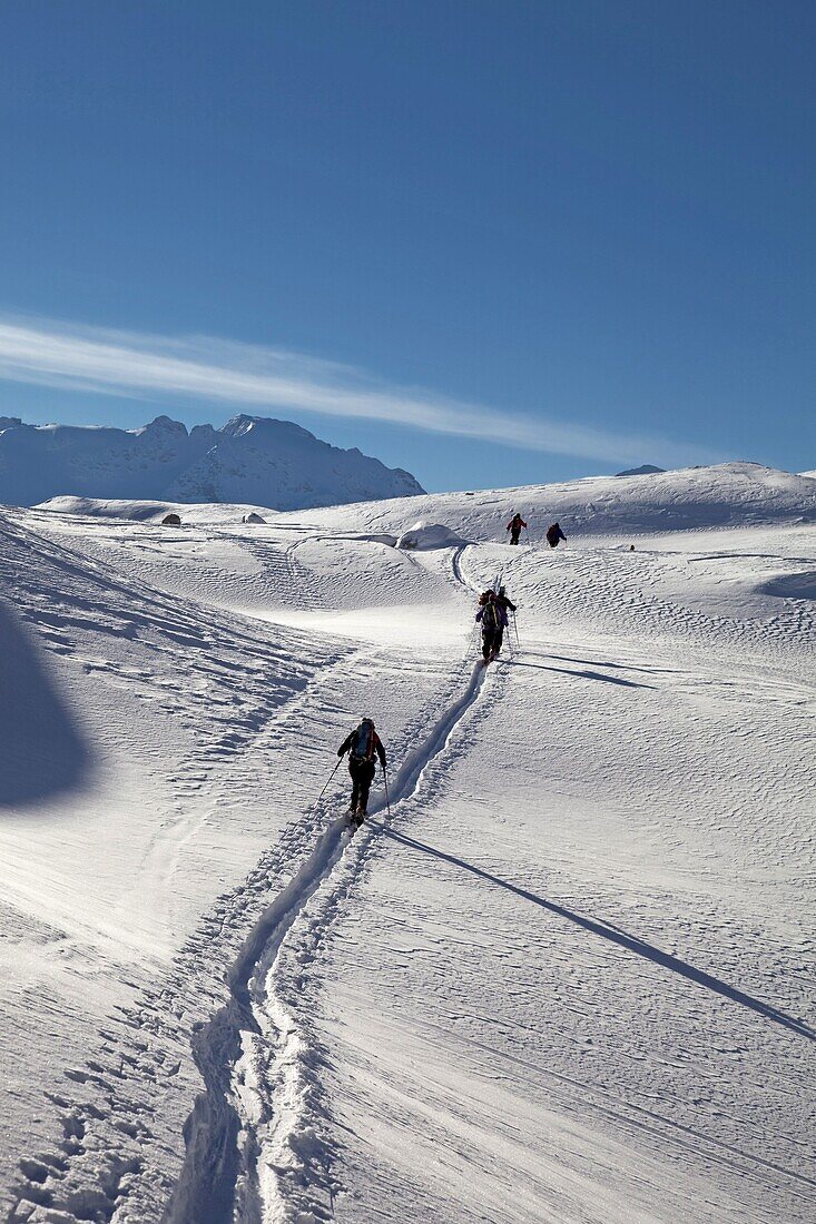 Ski touring, ski mountaineering in the Dolomites, Piz Boe, eastern Alps, Bolzano, South Tyrol, Italy, Europe