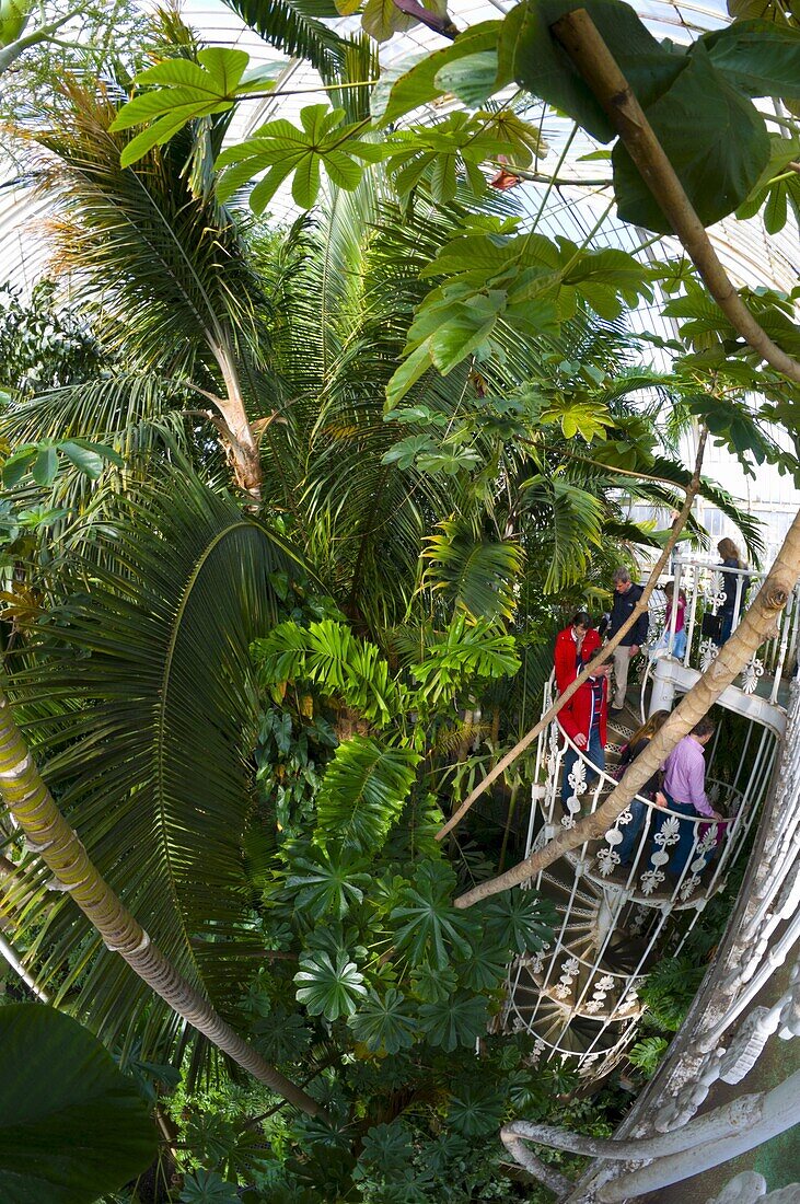 Royal Botanic Gardens Kew, UNESCO World Heritage Site, Greater London, England, United Kingdom, Europe