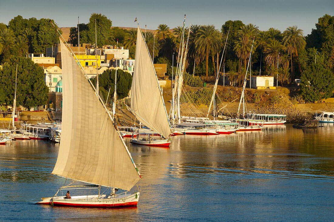 River Nile, Aswan, Upper Egypt, Egypt, North Africa, Africa