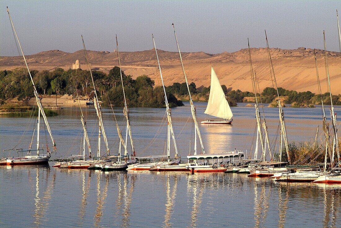 Nile scene near Aswan, Egypt, North Africa, Africa