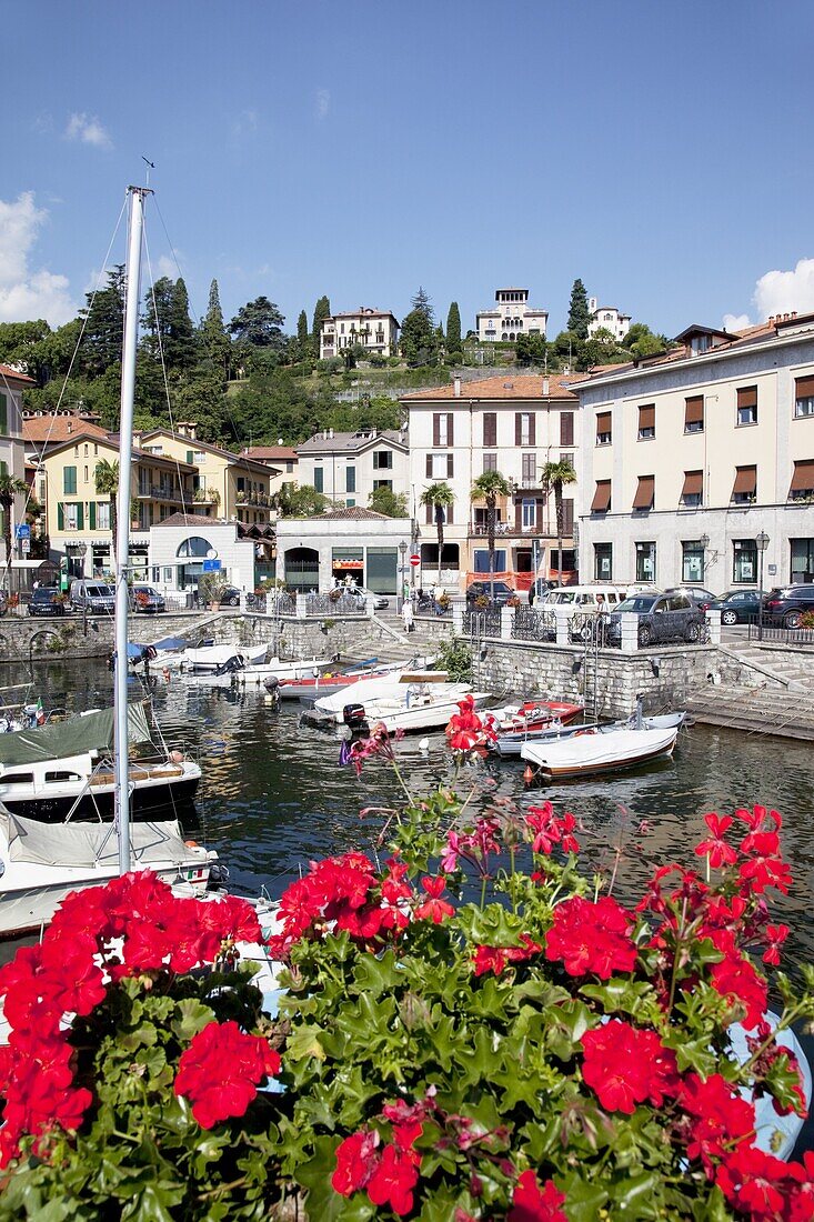 Town and harbour, Menaggio, Lake Como, Lombardy, Italian Lakes, Italy, Europe