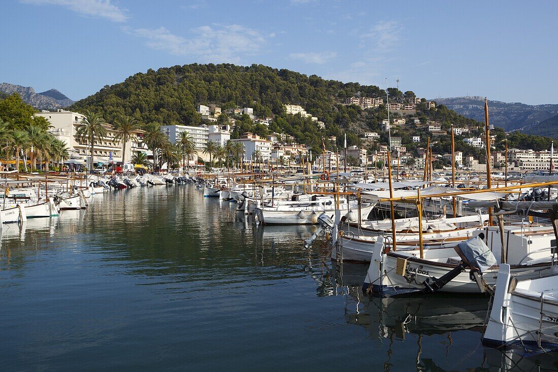 Harbour, Port de Soller, Mallorca (Majorca), Balearic Islands, Spain, Mediterranean, Europe