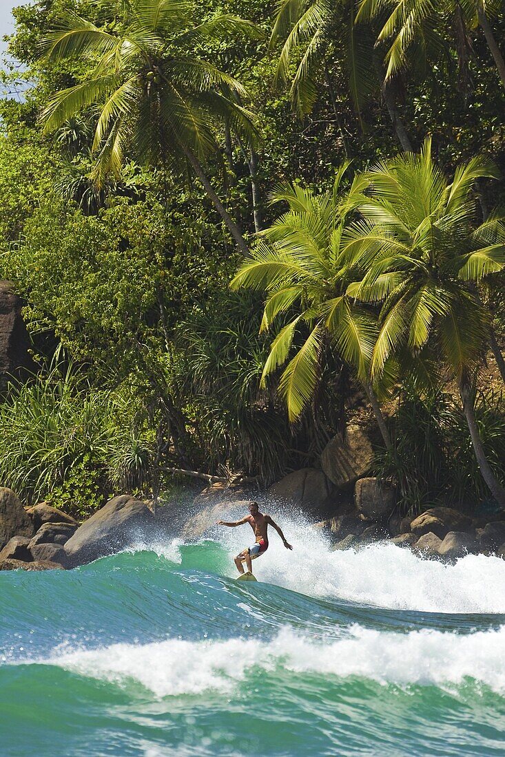Surfer riding a wave in the western corner of the south coast beach at Mirissa, near Matara, Southern Province, Sri Lanka, Asia