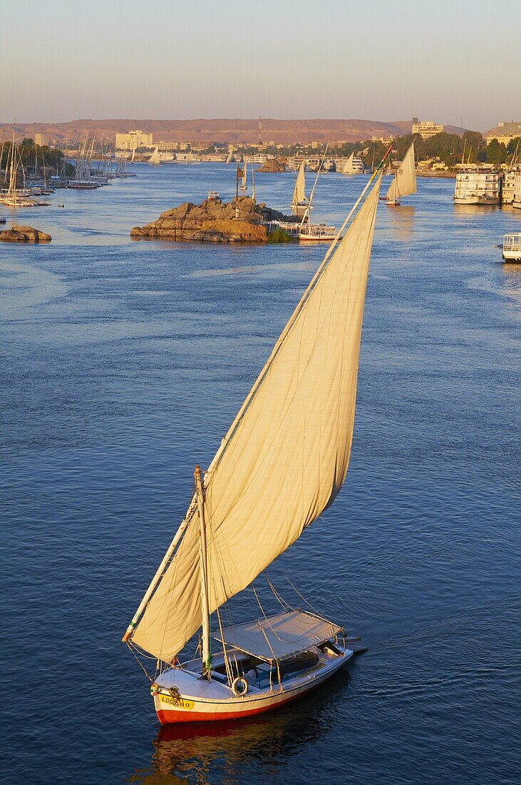 Feluccas on the River Nile, Aswan, Egypt, North Africa, Africa