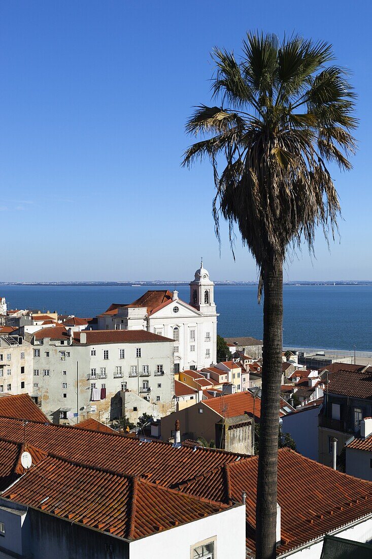 View over Alfama district from Miradouro das Portas do Sol, Alfama, Lisbon, Portugal, Europe