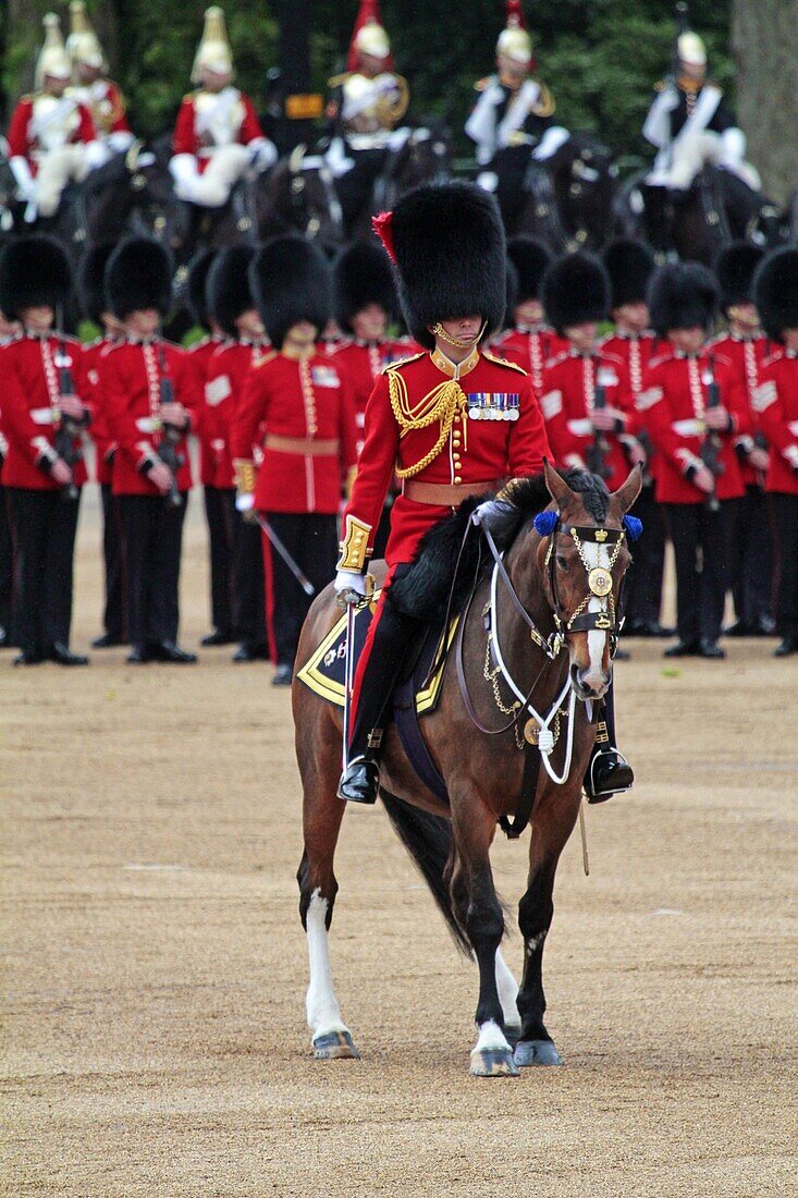 Soldiers at Trooping the Colour 2012, The Queen's Birthday Parade, Horse Guards, Whitehall, London, England, United Kingdom, Europe