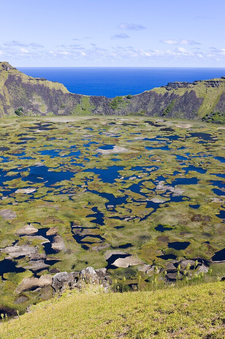 Crater of Ranu Kau, Rapa Nui (Easter Island), Chile, South America