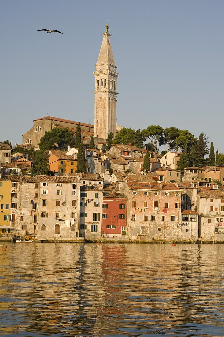 The Cathedral of St. Euphemia and the colorful old Venetian style buildings of Rovinj reflected in the sea at sunrise, Istria, Croatia, Europe