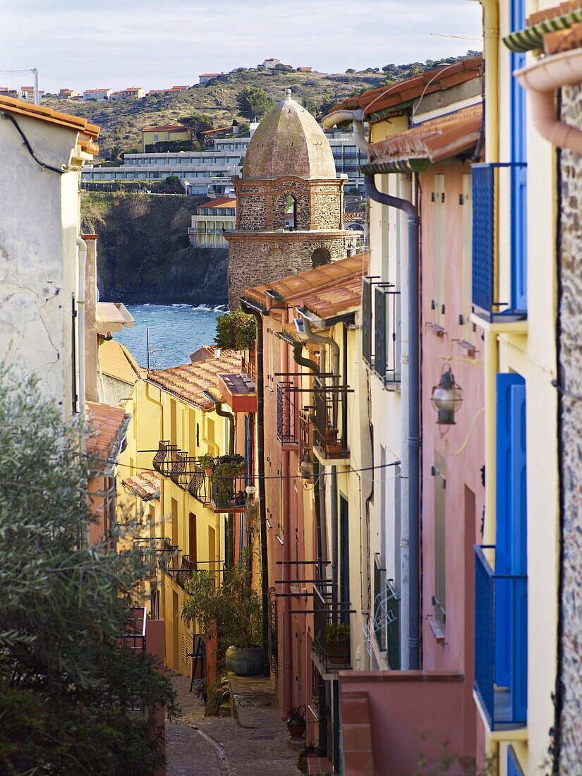 Collioure, Cote Vermeille, Languedoc coast, Roussillon, Pyrenees-Orientales, France, Europe