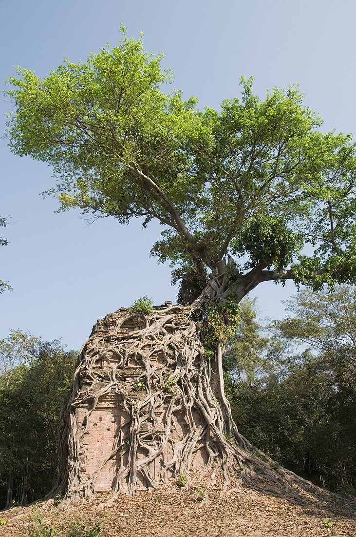 Temples in the ancient pre Angkor capital of Chenla, Cambodia, Indochina, Southeast Asia, Asia