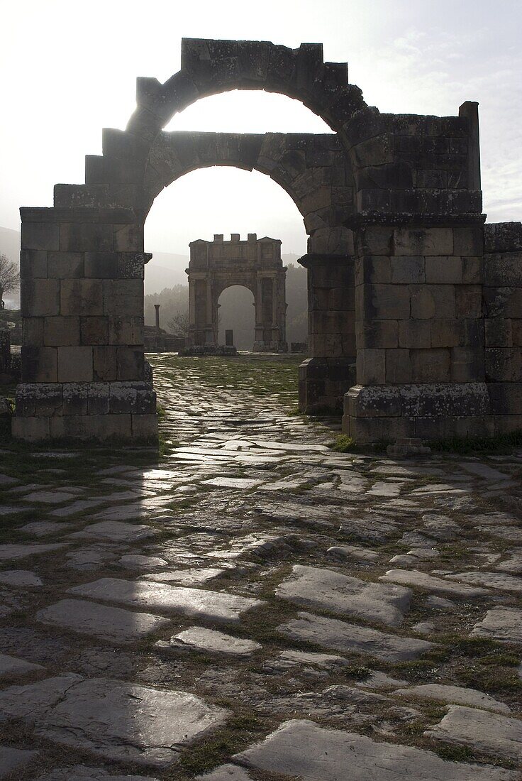 Arches at the northern end of the Forum, Djemila, UNESCO World Heritage Site, Algeria, North Africa, Africa