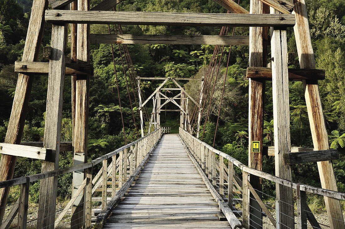 Tauranga historic bridge, Waioeka Gorge Scenic Reserve, Bay of Plenty, North Island, New Zealand, Pacific