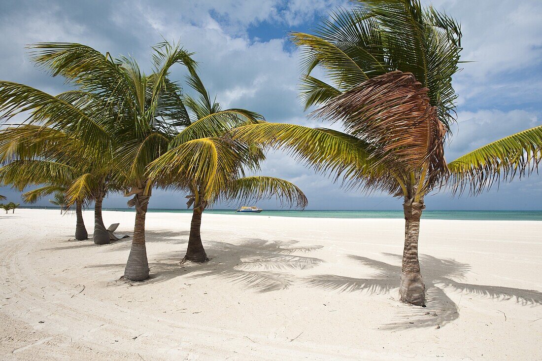 Isla Pasion (Passion Island) off Isla de Cozumel, Cozumel, Mexico, North America