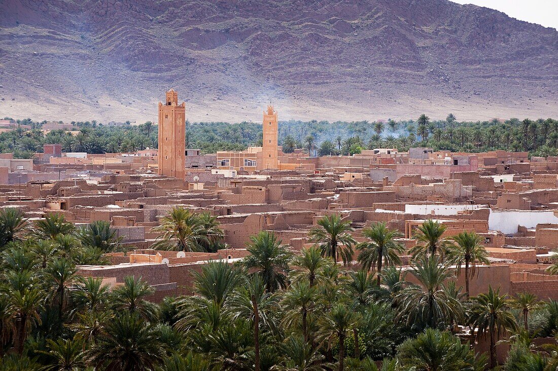 Date palm oasis and Jorf mountain, Figuig, province of Figuig, Oriental Region, Morocco, North Africa, Africa