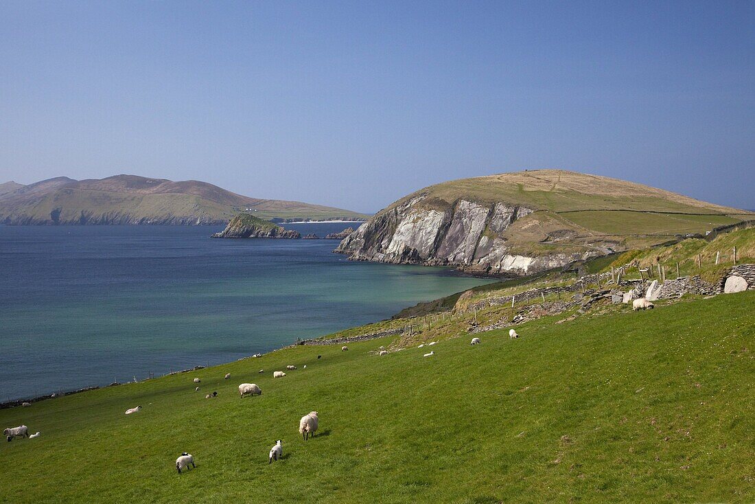 Slea Head, Dingle Peninsula, County Kerry, Munster, Republic of Ireland, Europe