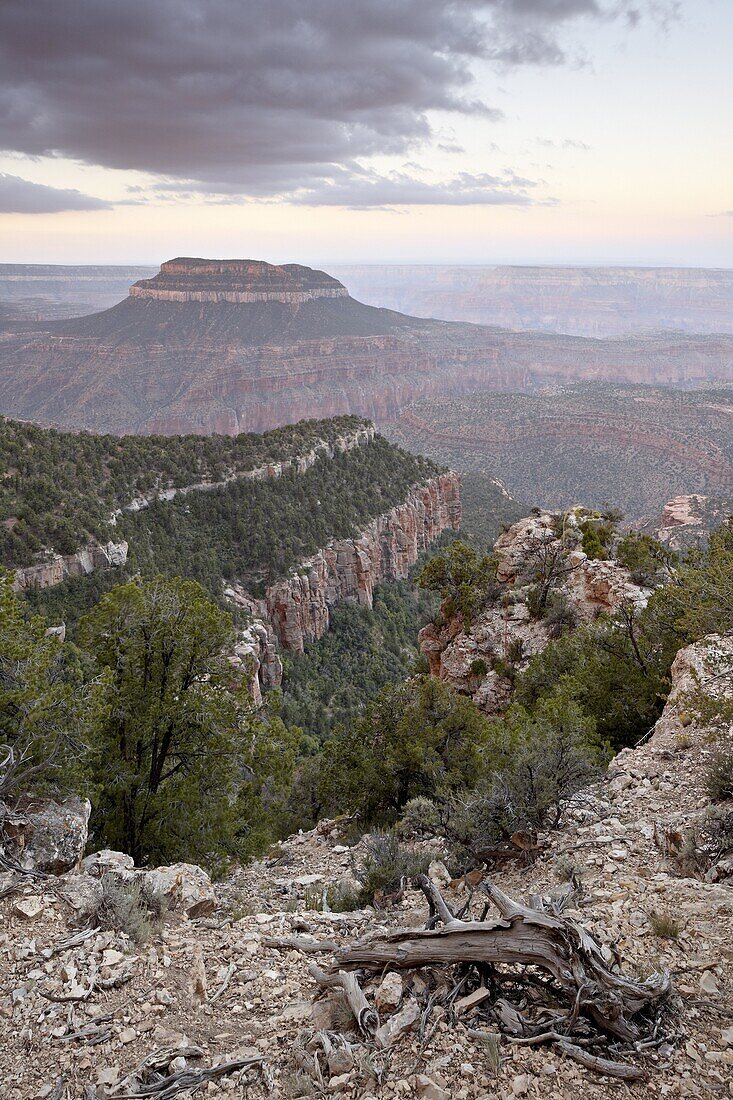 Steamboat Mountain at dawn from Fence Point, North Rim, Grand Canyon, Kaibab National Forest, Arizona, United States of America, North America