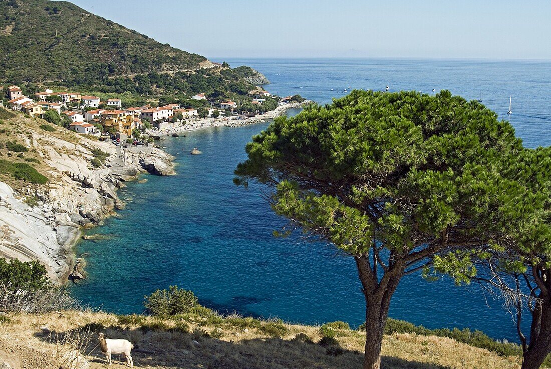 Pomonte, Isola d'Elba, Elba, Tuscany, Italy, Europe