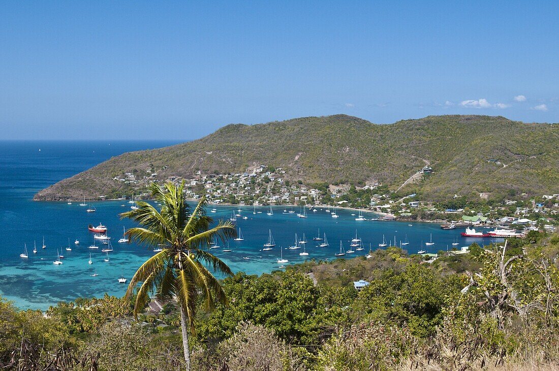 Port Elizabeth harbour, Bequia, St. Vincent and The Grenadines, Windward Islands, West Indies, Caribbean, Central America