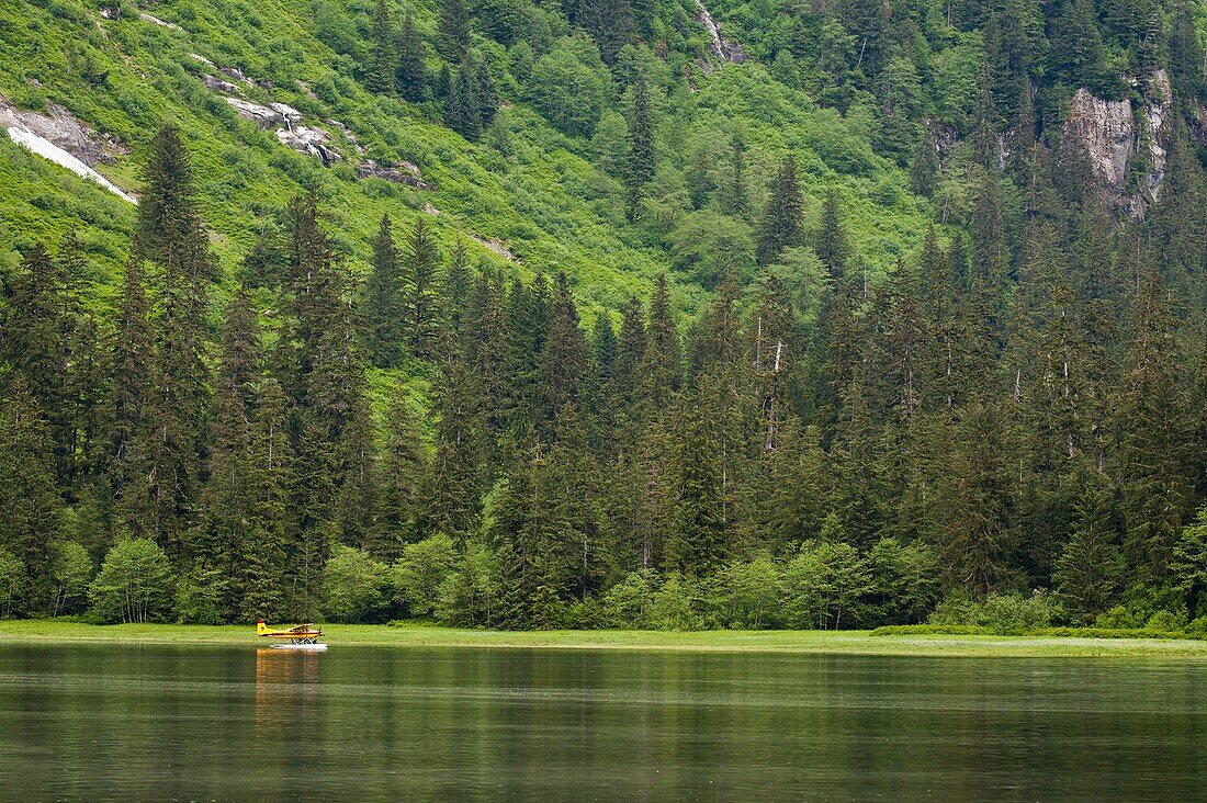 Walker Cove area of Misty Fjords National Monument Wilderness Area, Southeast Alaska, Alaska, United States of America, North America
